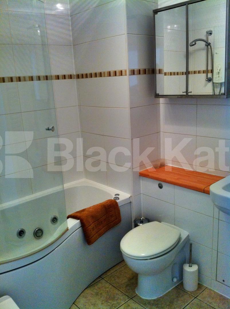 			UNDER OFFER , 1 Bedroom, 1 bath, 1 reception Apartment			 Willow Place, Victoria